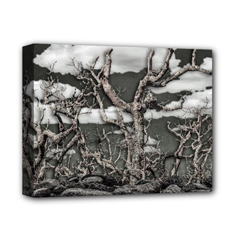 Dark Fantasy Landscape Poster Deluxe Canvas 14  X 11  (stretched) by dflcprintsclothing