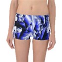 Glacial Speeds Boyleg Bikini Bottoms View1