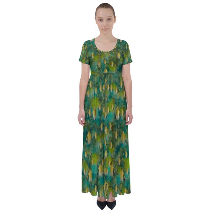 Love To The Flowers And Colors In A Beautiful Habitat High Waist Short Sleeve Maxi Dress