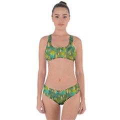 Love To The Flowers And Colors In A Beautiful Habitat Criss Cross Bikini Set by pepitasart