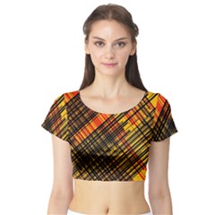 Root Humanity Orange Yellow And Black Short Sleeve Crop Top by WetdryvacsLair