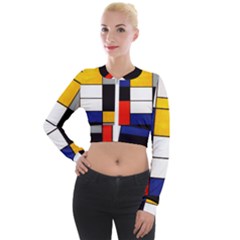 Composition A By Piet Mondrian Long Sleeve Cropped Velvet Jacket by maximumstreetcouture