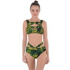 Root Humanity Bar And Qr Code Green And Yellow Doom Bandaged Up Bikini Set  by WetdryvacsLair