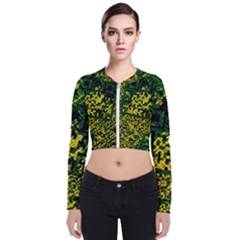 Root Humanity Bar And Qr Code Green And Yellow Doom Long Sleeve Zip Up Bomber Jacket by WetdryvacsLair