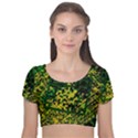 Root Humanity Bar And Qr Code Green and Yellow Doom Velvet Short Sleeve Crop Top  View1