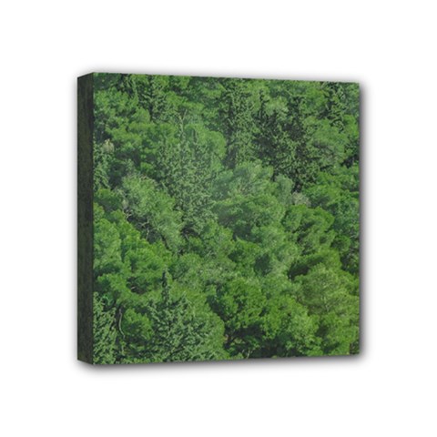 Leafy Forest Landscape Photo Mini Canvas 4  X 4  (stretched) by dflcprintsclothing