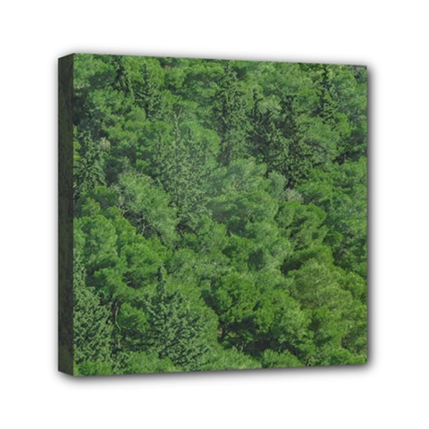 Leafy Forest Landscape Photo Mini Canvas 6  X 6  (stretched) by dflcprintsclothing