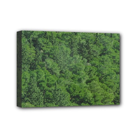 Leafy Forest Landscape Photo Mini Canvas 7  X 5  (stretched) by dflcprintsclothing