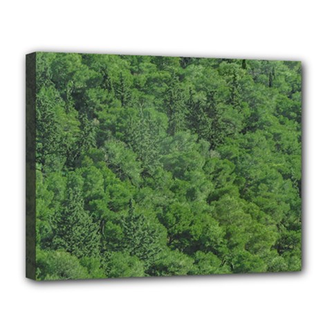 Leafy Forest Landscape Photo Canvas 14  X 11  (stretched) by dflcprintsclothing