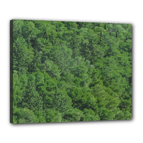 Leafy Forest Landscape Photo Canvas 20  X 16  (stretched) by dflcprintsclothing