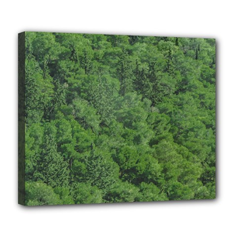 Leafy Forest Landscape Photo Deluxe Canvas 24  X 20  (stretched) by dflcprintsclothing