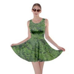 Leafy Forest Landscape Photo Skater Dress by dflcprintsclothing