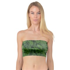 Leafy Forest Landscape Photo Bandeau Top by dflcprintsclothing