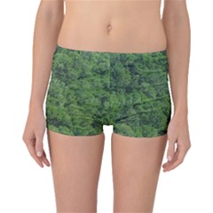 Leafy Forest Landscape Photo Boyleg Bikini Bottoms by dflcprintsclothing