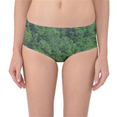 Leafy Forest Landscape Photo Mid-waist Bikini Bottoms by dflcprintsclothing