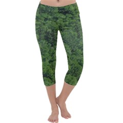 Leafy Forest Landscape Photo Capri Yoga Leggings by dflcprintsclothing