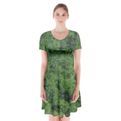 Leafy Forest Landscape Photo Short Sleeve V-neck Flare Dress by dflcprintsclothing