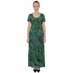 Leafy Forest Landscape Photo High Waist Short Sleeve Maxi Dress by dflcprintsclothing