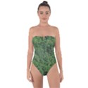 Leafy Forest Landscape Photo Tie Back One Piece Swimsuit View1