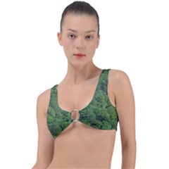 Leafy Forest Landscape Photo Ring Detail Bikini Top by dflcprintsclothing