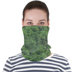 Leafy Forest Landscape Photo Face Seamless Bandana (adult) by dflcprintsclothing