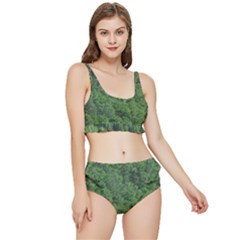 Leafy Forest Landscape Photo Frilly Bikini Set by dflcprintsclothing