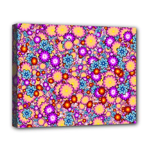 Flower Bomb1 Deluxe Canvas 20  X 16  (stretched)