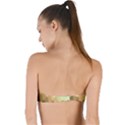 Wonderful Gradient Shades 6 Twist Bandeau Bikini Top View2