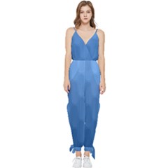 Wonderful Gradient Shades 3 Sleeveless Tie Ankle Jumpsuit