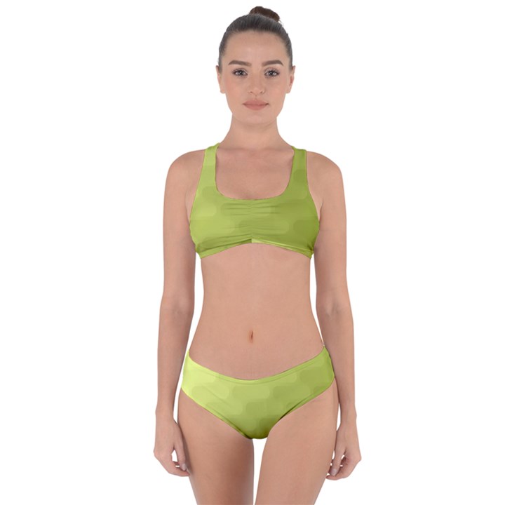 Wonderful Gradient Shades 1 Criss Cross Bikini Set