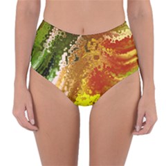 Fraction Space 3 Reversible High-waist Bikini Bottoms by PatternFactory