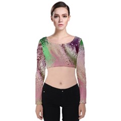 Fraction Space 1 Velvet Long Sleeve Crop Top by PatternFactory