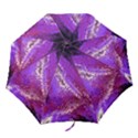 Fraction Space 4 Folding Umbrellas View1