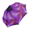 Fraction Space 4 Folding Umbrellas View2