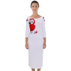 Untitled Design (5) Photo 1607517624237 Quarter Sleeve Midi Bodycon Dress