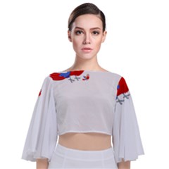 Untitled Design (5) Photo 1607517624237 Tie Back Butterfly Sleeve Chiffon Top by Basab896