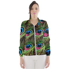 Peacock-feathers-plumage-pattern Women s Windbreaker by Sapixe