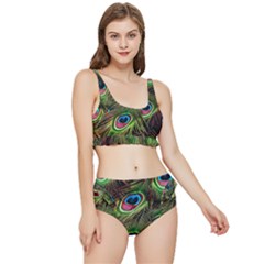 Peacock-feathers-plumage-pattern Frilly Bikini Set by Sapixe