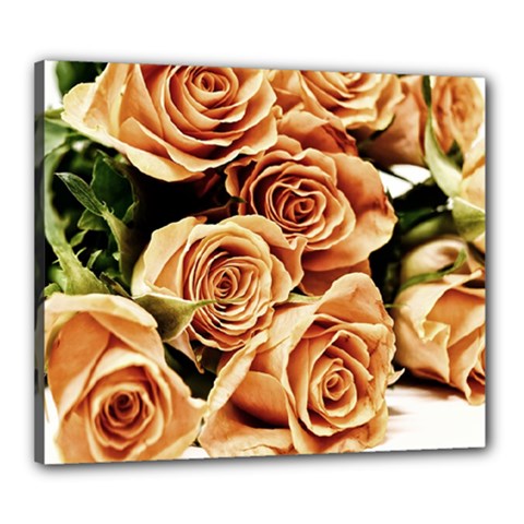 Roses-flowers-bouquet-rose-bloom Canvas 24  X 20  (stretched) by Sapixe