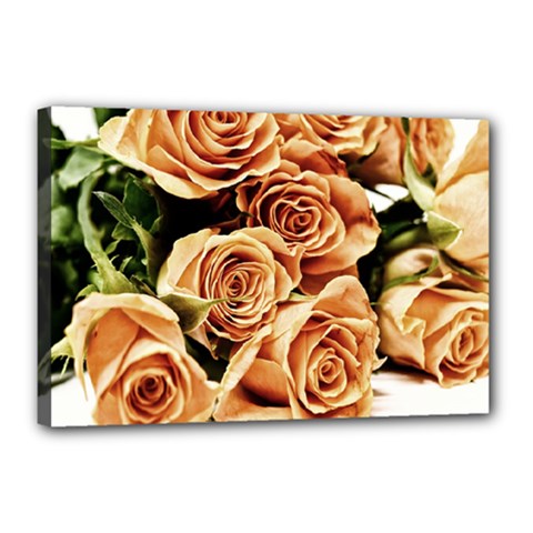 Roses-flowers-bouquet-rose-bloom Canvas 18  X 12  (stretched) by Sapixe