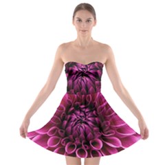 Dahlia-flower-purple-dahlia-petals Strapless Bra Top Dress by Sapixe