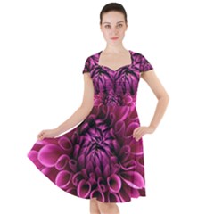 Dahlia-flower-purple-dahlia-petals Cap Sleeve Midi Dress by Sapixe