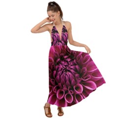 Dahlia-flower-purple-dahlia-petals Backless Maxi Beach Dress by Sapixe