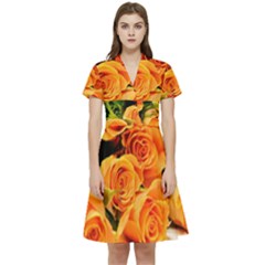 Roses-flowers-orange-roses Short Sleeve Waist Detail Dress by Sapixe