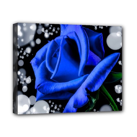 Blue-rose-rose-rose-bloom-blossom Canvas 10  X 8  (stretched) by Sapixe