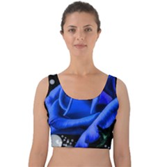 Blue-rose-rose-rose-bloom-blossom Velvet Crop Top by Sapixe