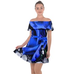 Blue-rose-rose-rose-bloom-blossom Off Shoulder Velour Dress