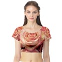 Roses-flowers-rose-bloom-petals Short Sleeve Crop Top View1