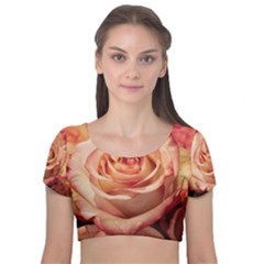 Roses-flowers-rose-bloom-petals Velvet Short Sleeve Crop Top  by Sapixe