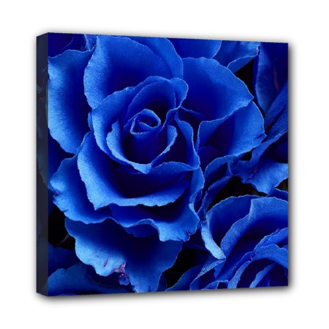 Roses-flowers-plant-romance Mini Canvas 8  X 8  (stretched) by Sapixe